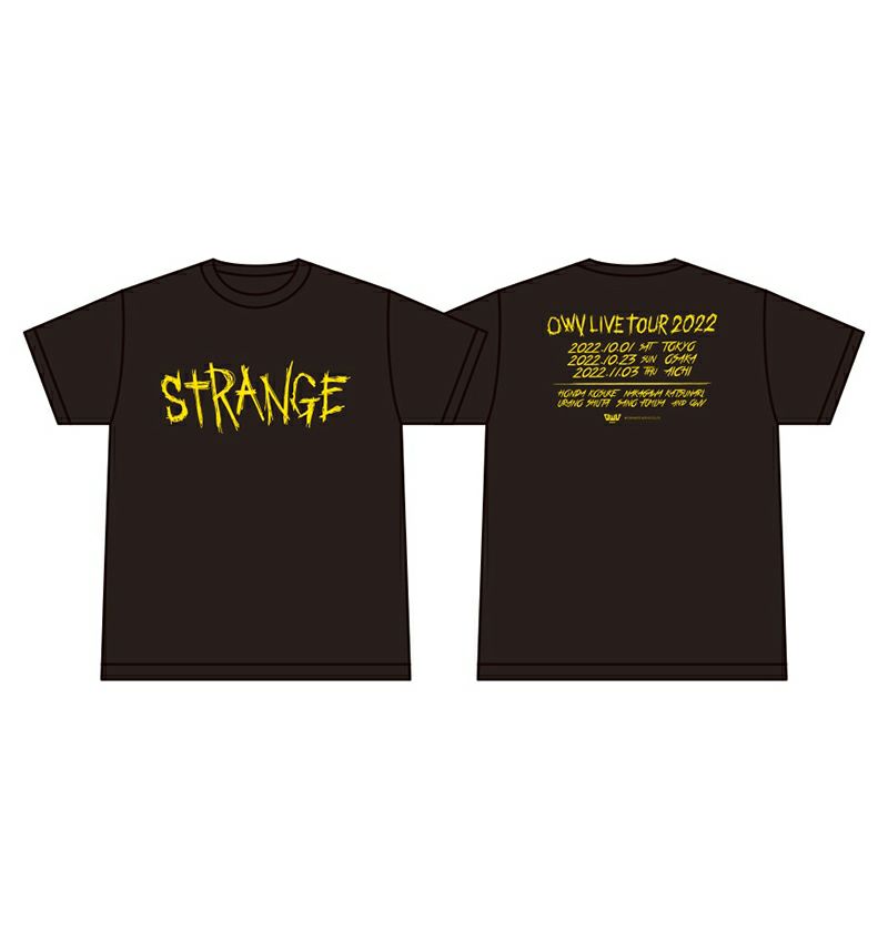 【最終セール】CELINE HOMME  Tシャツ　STRANGE 　正規品予めご了承下さい